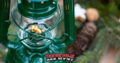 Original Feuerhand Stormlantaarn Groen -Barebones Winkel image 601