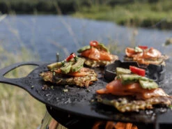 Petromax Grillplaat TBV Atago 15 Petromax Grillplaat TBV Atago -Barebones Winkel image 755